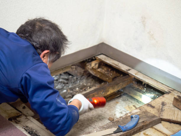 Best Water Damage Restoration  in Monsey, NY