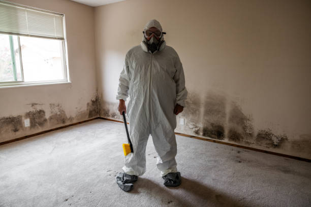 Office Mold Removal Services in Monsey, NY